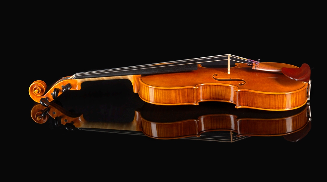 Daniel Ross 5 string violin 4